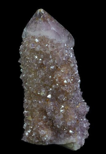 Cactus Quartz (Amethyst) Crystal - South Africa #64228